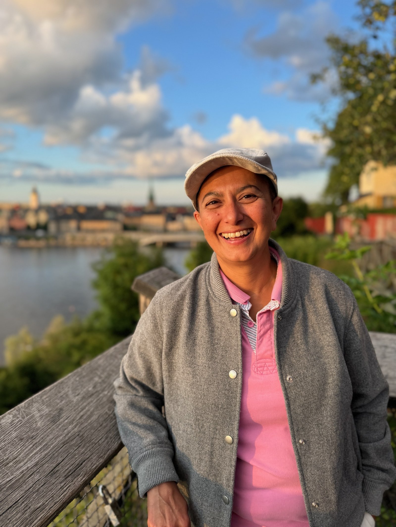 View from the Monteliusvägen viewpoint over Stockholm