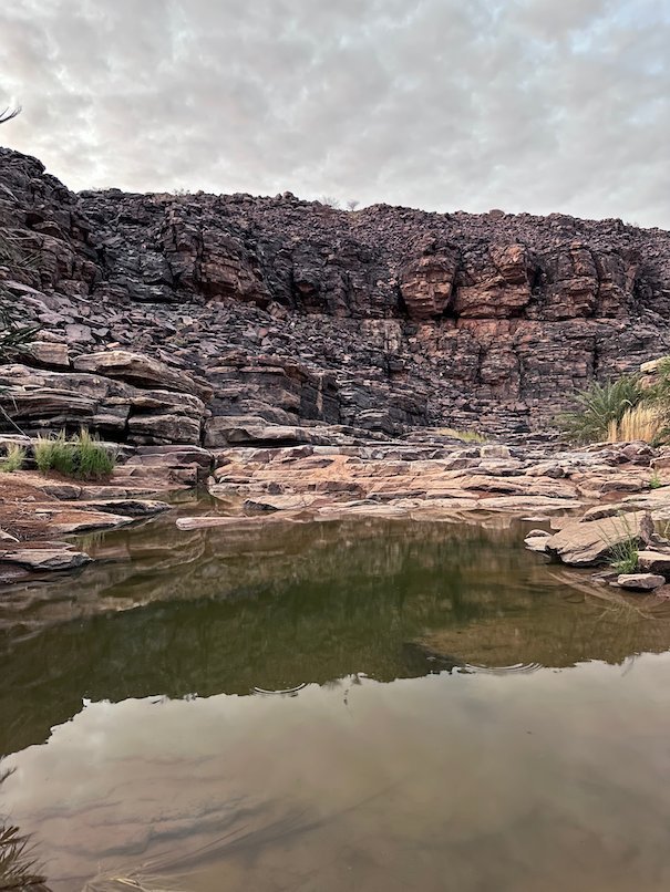 A still pool of water lies at the foot of a rock wall.