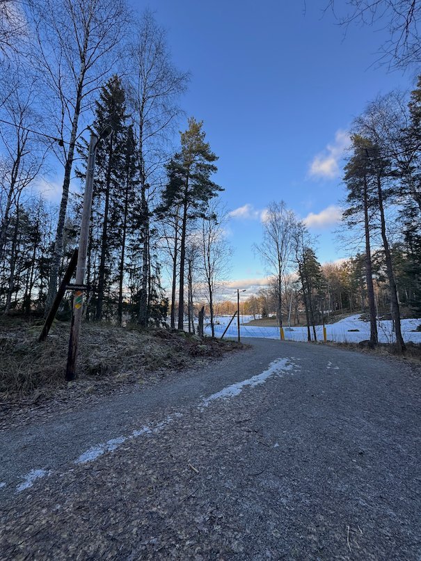 Gravel road with old snow, bare trees and a snowy field in the distance