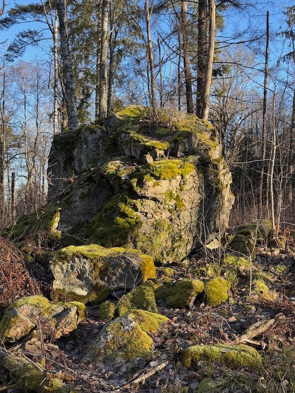 Large boulder covered in green moss among pine trees in Ågesta nature reserve