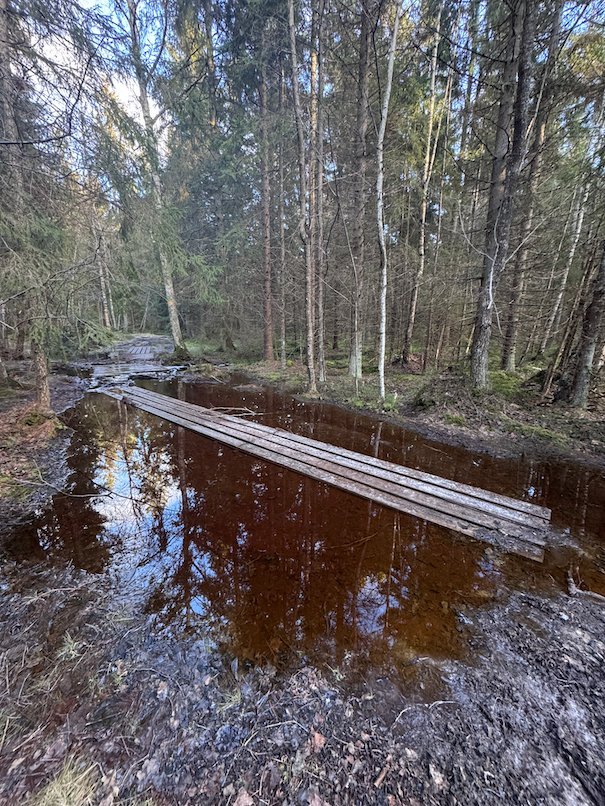 Wooden plank bridge over brown forest water in Ågesta nature reserve