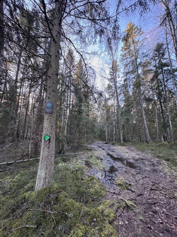 Trail marker on a tree beside a muddy forest path in Ågesta nature reserve