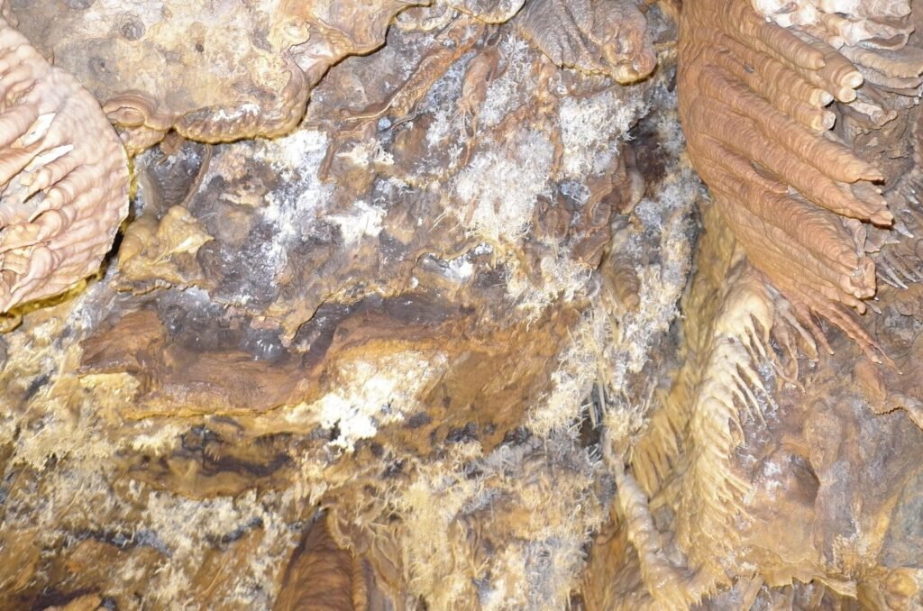 Brown and white rock patterns on the cave wall