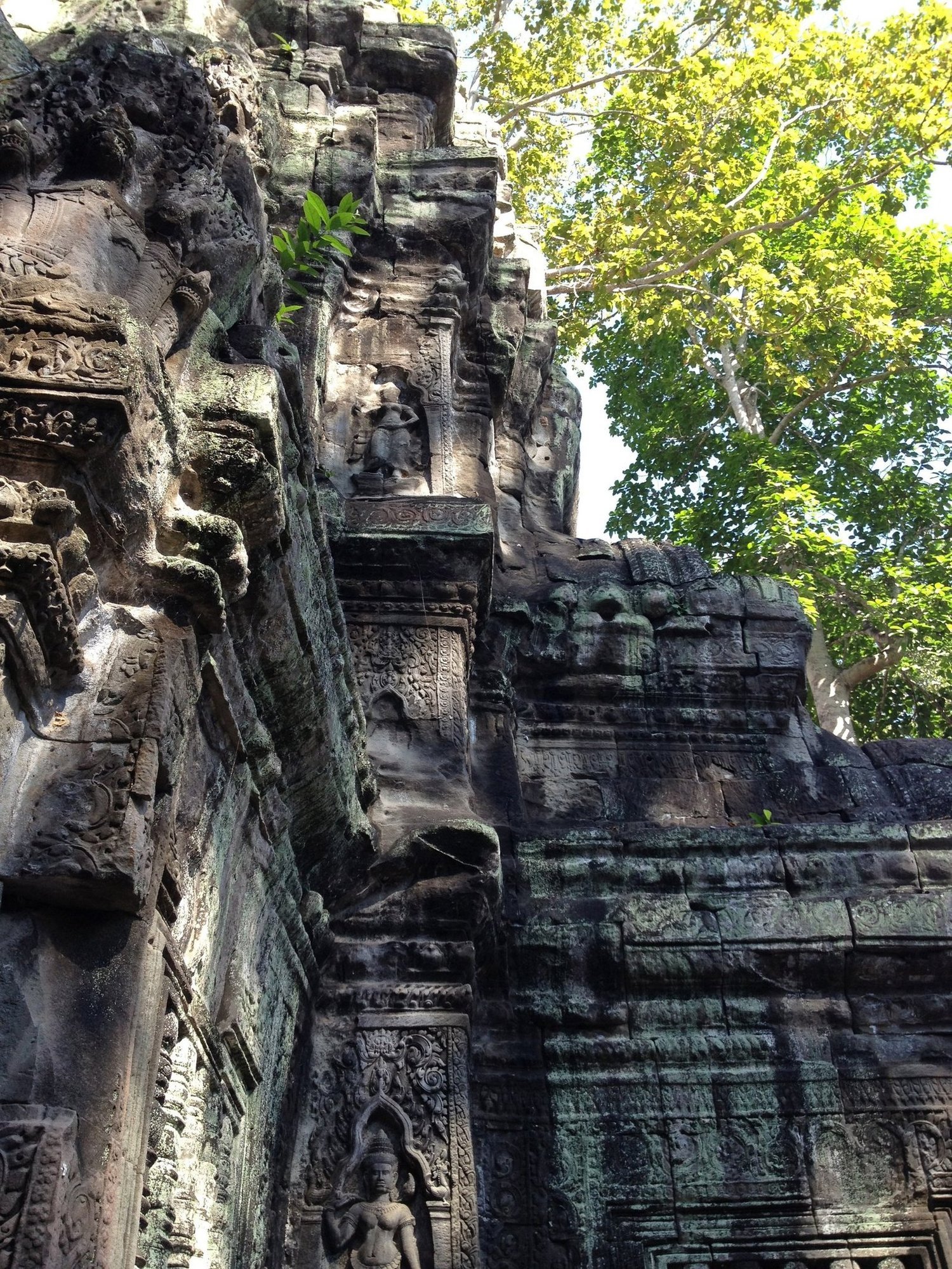 Carved stone walls of an old temple rise under green trees at Angkor in Cambodia.