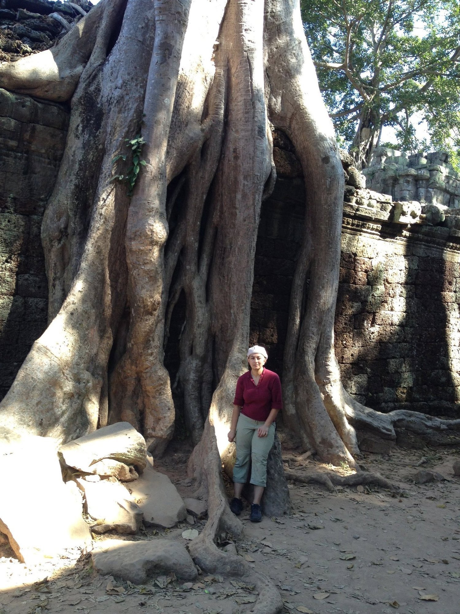 A traveler stands under huge tree roots that cover a temple wall at Angkor.