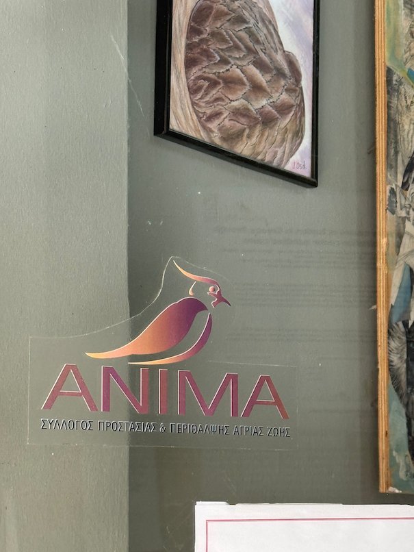 ANIMA logo with a bird on a glass door at the wildlife rescue center in Athens