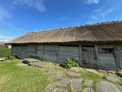Long grey wooden farmhouse with a thatched roof and stone steps at Askhult