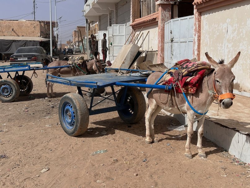 A donkey with a cart stands on a sandy street.