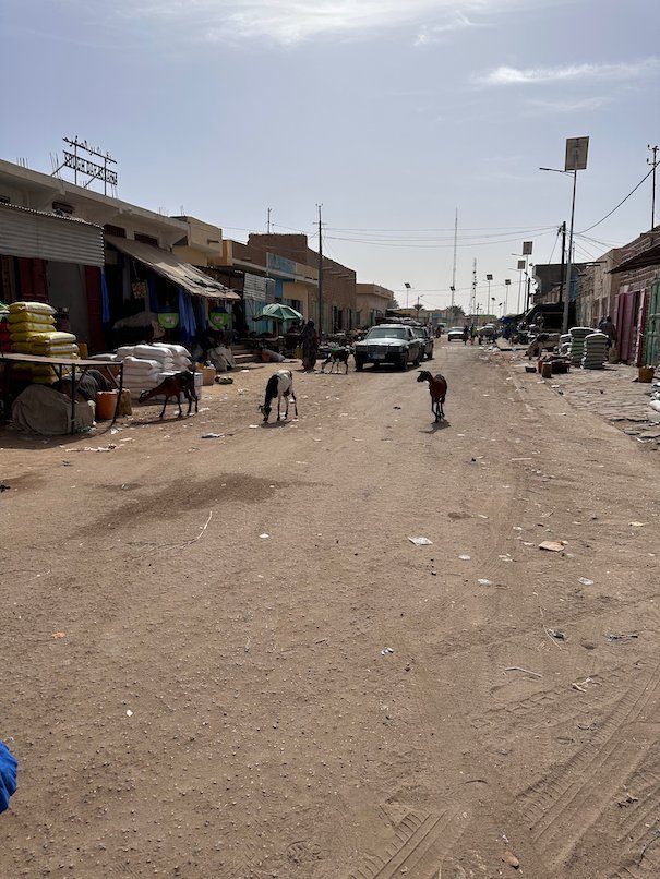 A donkey walks on a sandy street lined with small shops.