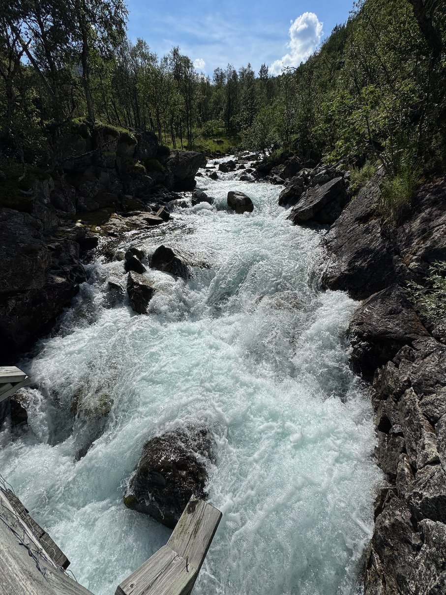White river rapids between rocks in a forest valley