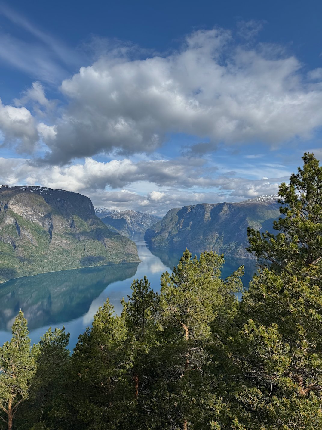 Aurlandsfjord between steep mountains, seen through pine trees under white clouds