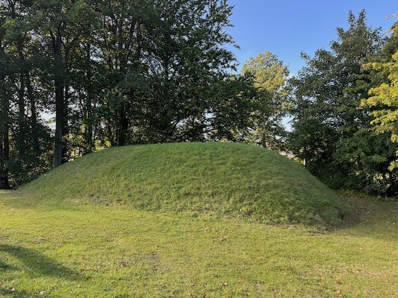Low grass-covered mound under tall trees on a sunny day