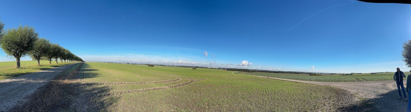 Wide panorama of flat fields and a row of willows on the Battle of Lund route