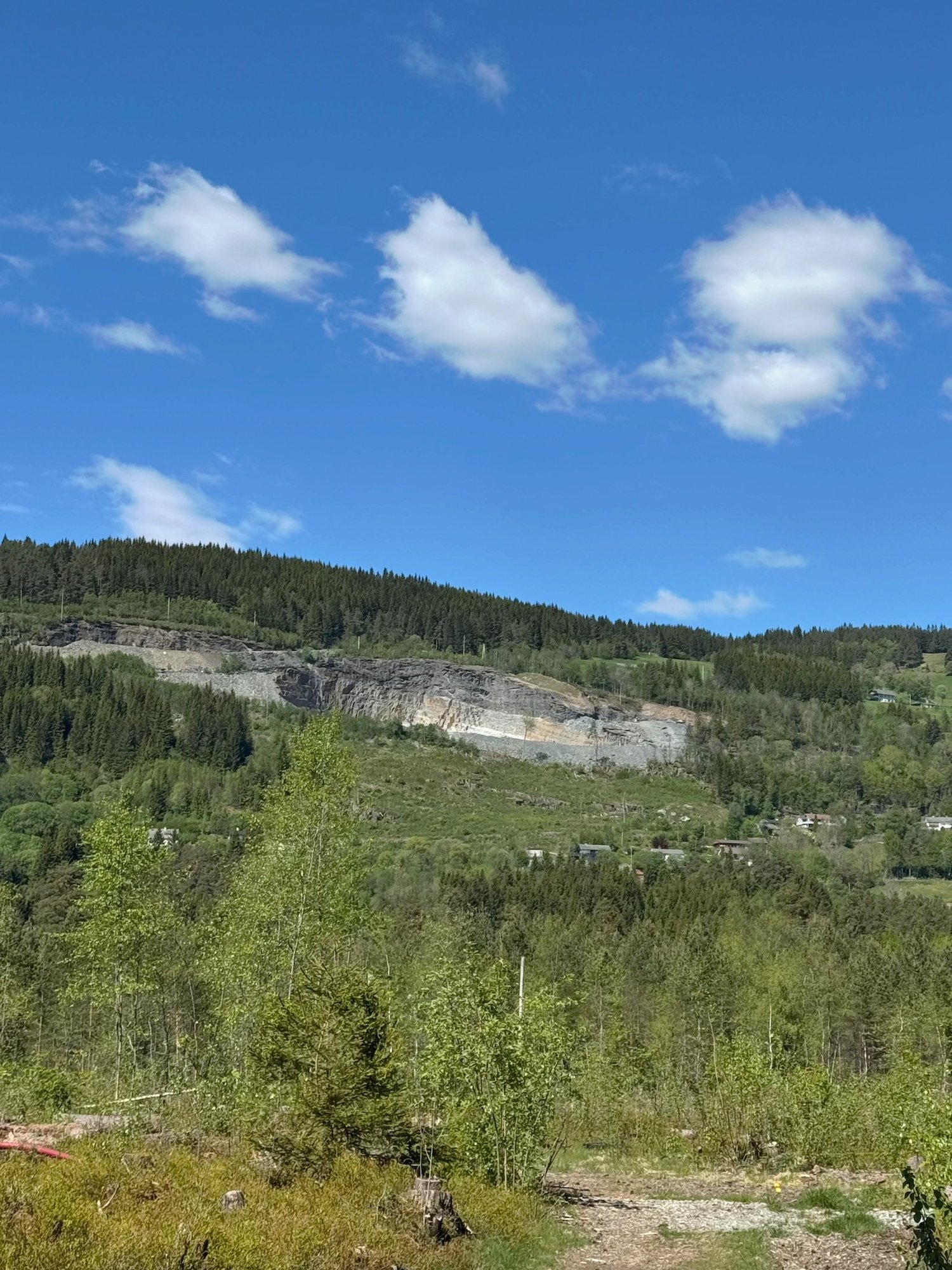 Green valley and forested hills near Bømoen under a blue sky