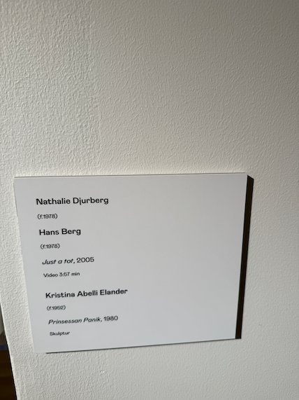Wall label with works by Nathalie Djurberg, Hans Berg and Kristina Abelli Elander