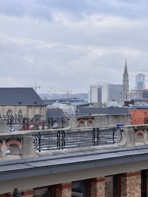 The spire of the Town Hall rises above the roofs in a view over Brussels.