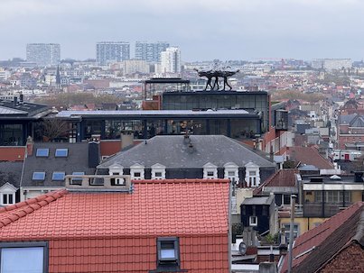 A view over the houses and towers of Brussels from the Marolles.