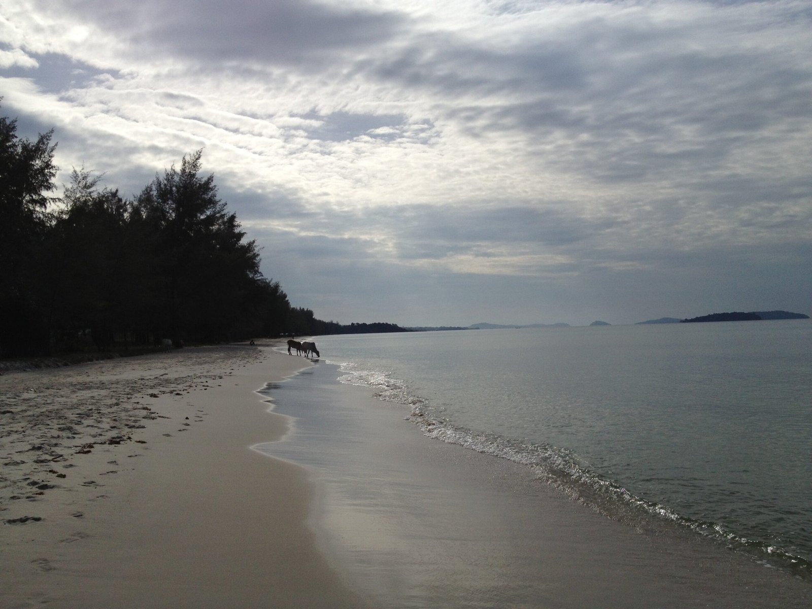 A quiet sandy beach with calm water lies under a cloudy sky in Cambodia.