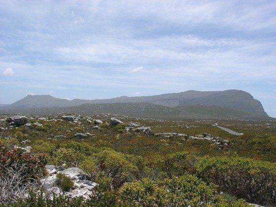 Green fynbos and rocks cover the plain below flat mountains on the Cape Peninsula.