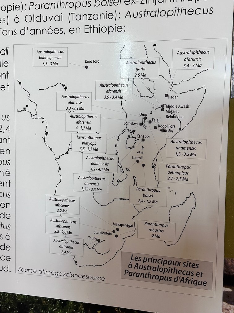 A museum panel shows a map of early human sites in East Africa.