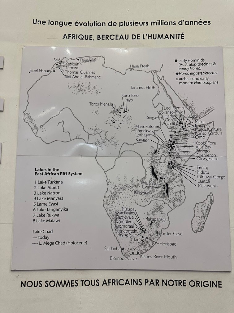 A museum panel shows a map of Africa as the place where humans began.