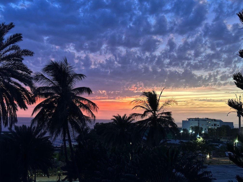 The sun sets behind palm trees under colorful clouds in Dakar.