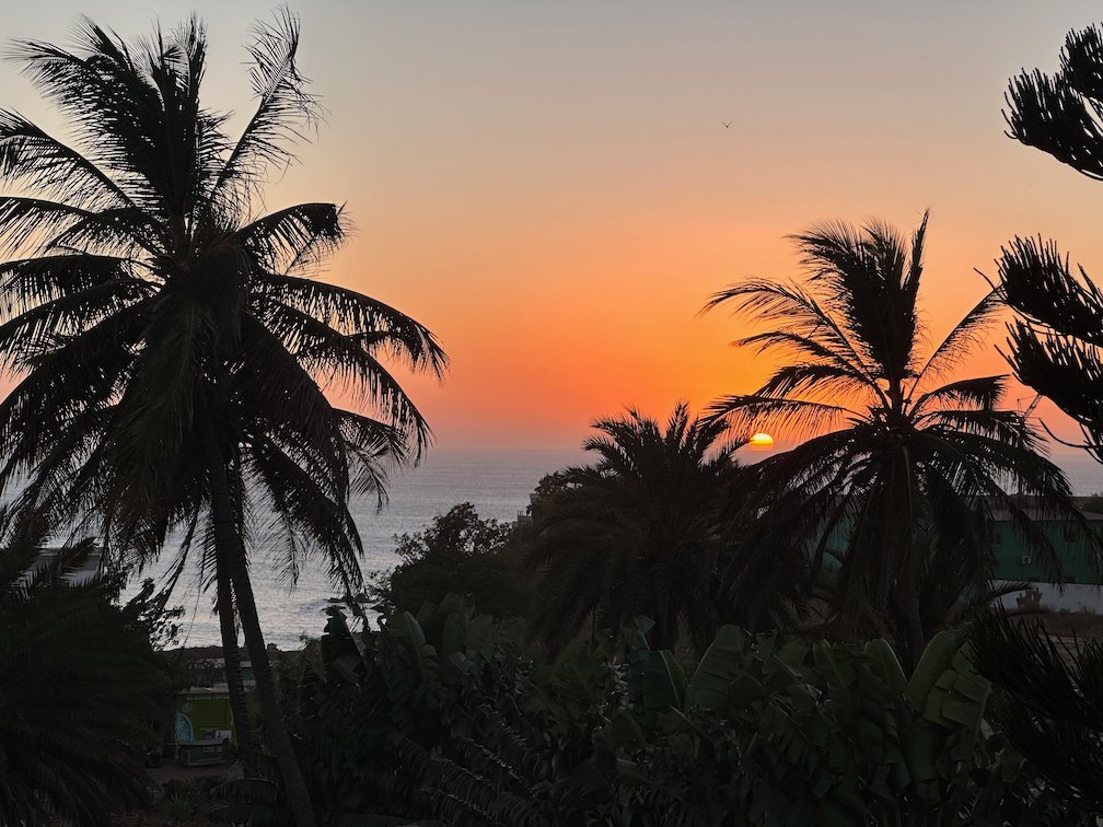 The sun sets behind palm trees over the sea in Dakar.