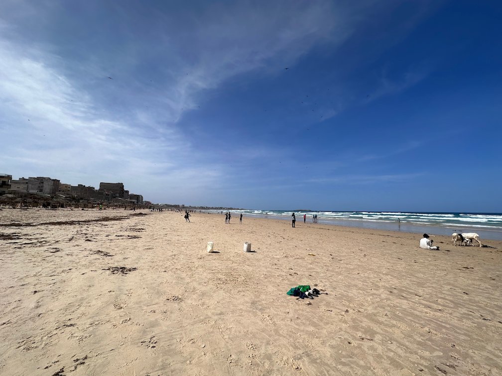 Goats walk on Yoff beach near the waves in Dakar.