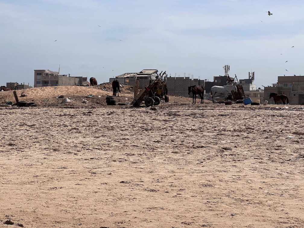 Horses and carts stand on the sand near houses on Yoff beach.