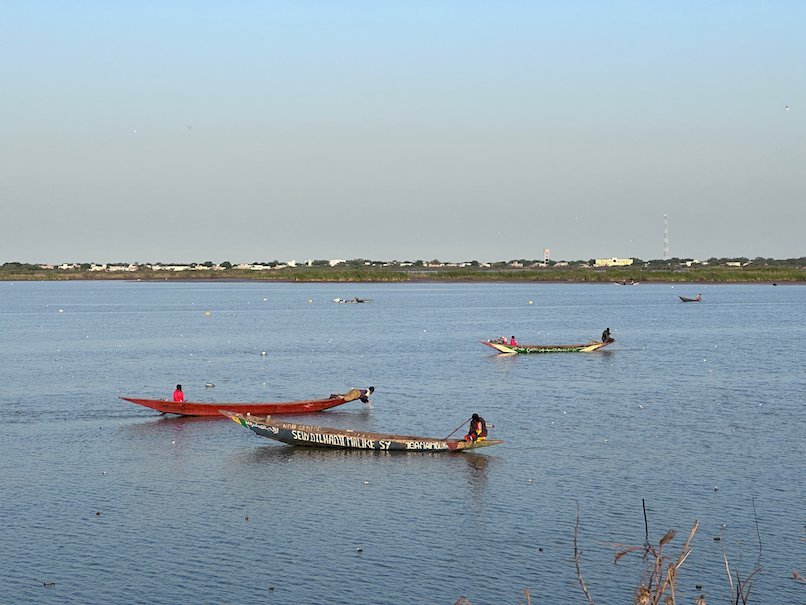 Two wooden pirogues with fishermen move on the Senegal River near Diama.