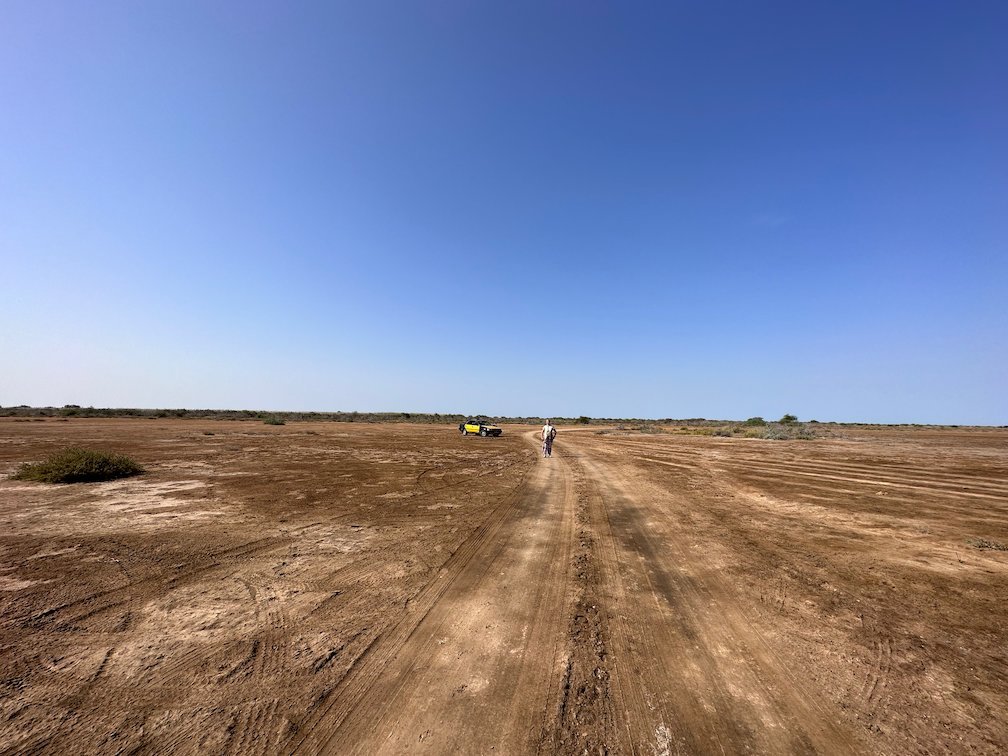 A dirt track runs across a flat dry plain in Djoudj.