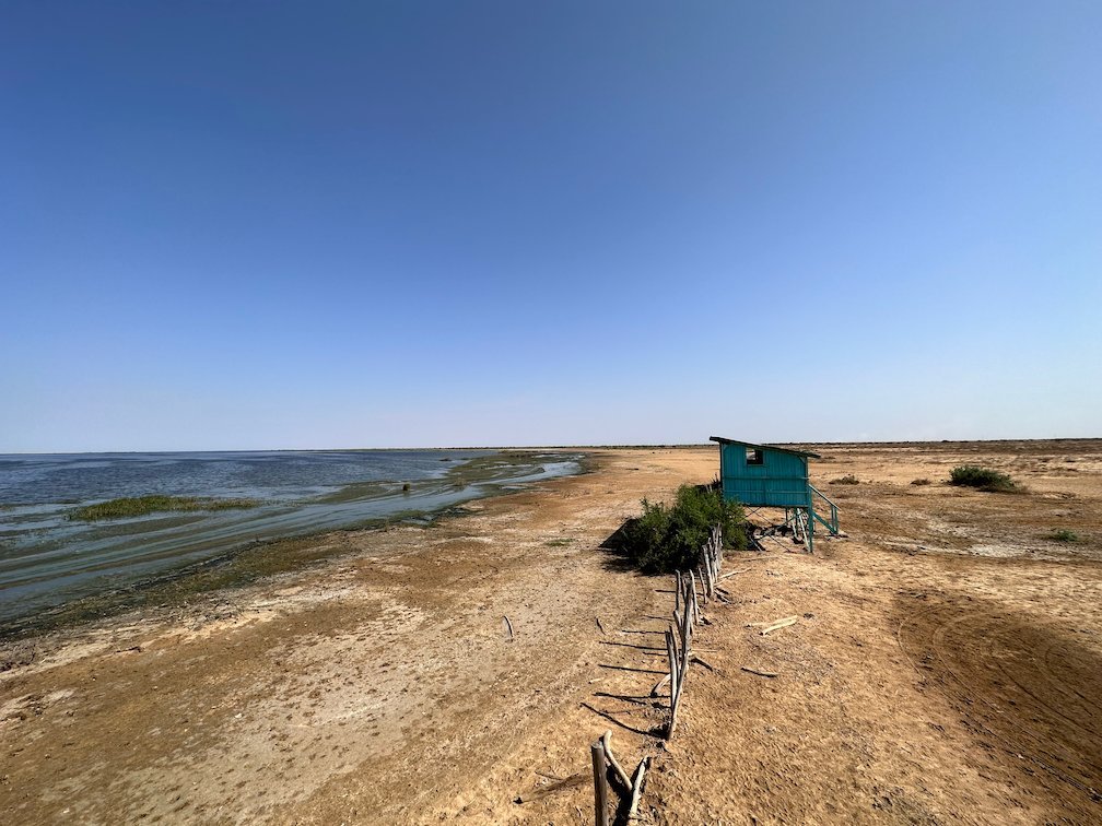 A green bird hide stands on a dike next to the lake in Djoudj.