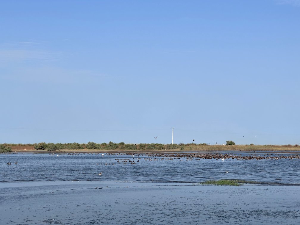 Birds rest along the far shore of a lake in Djoudj.