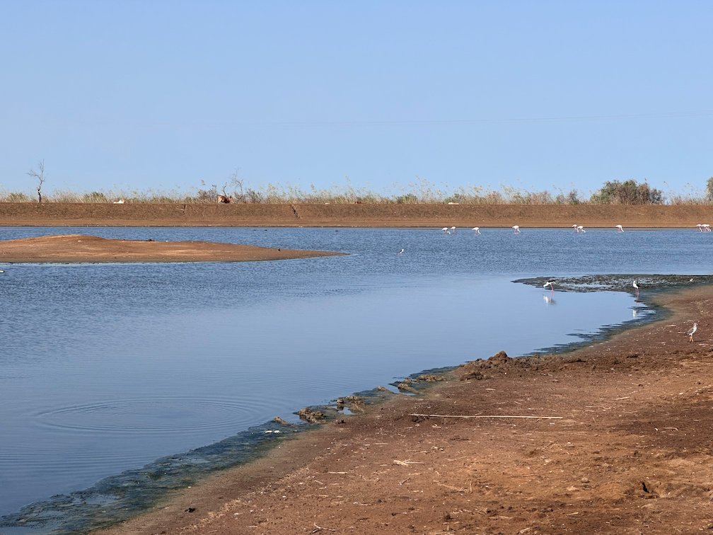 A curved red shore runs along a calm lake in Djoudj.