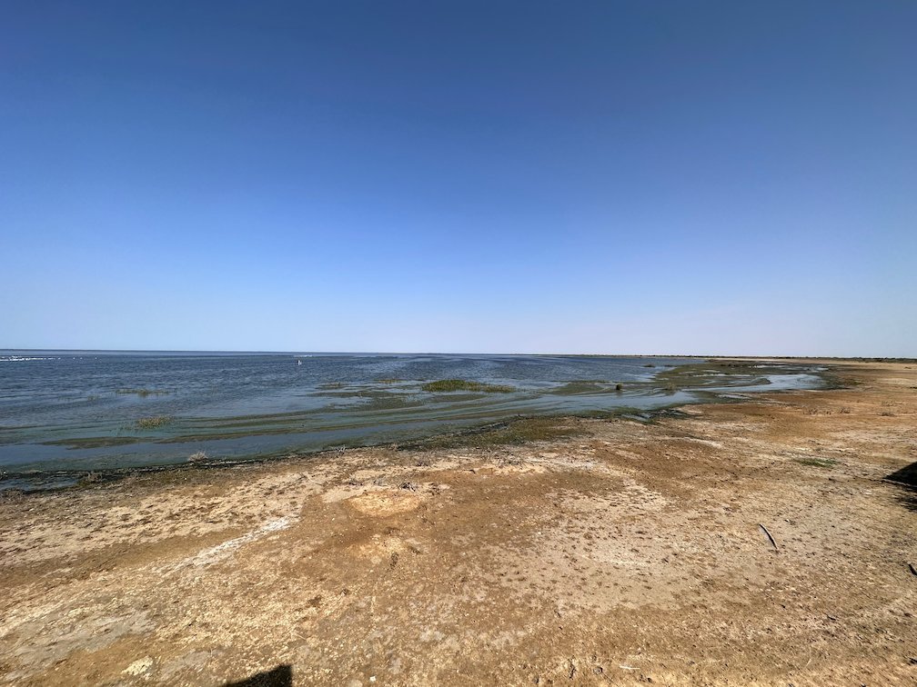 Green algae line the shore of a wide lake in Djoudj.