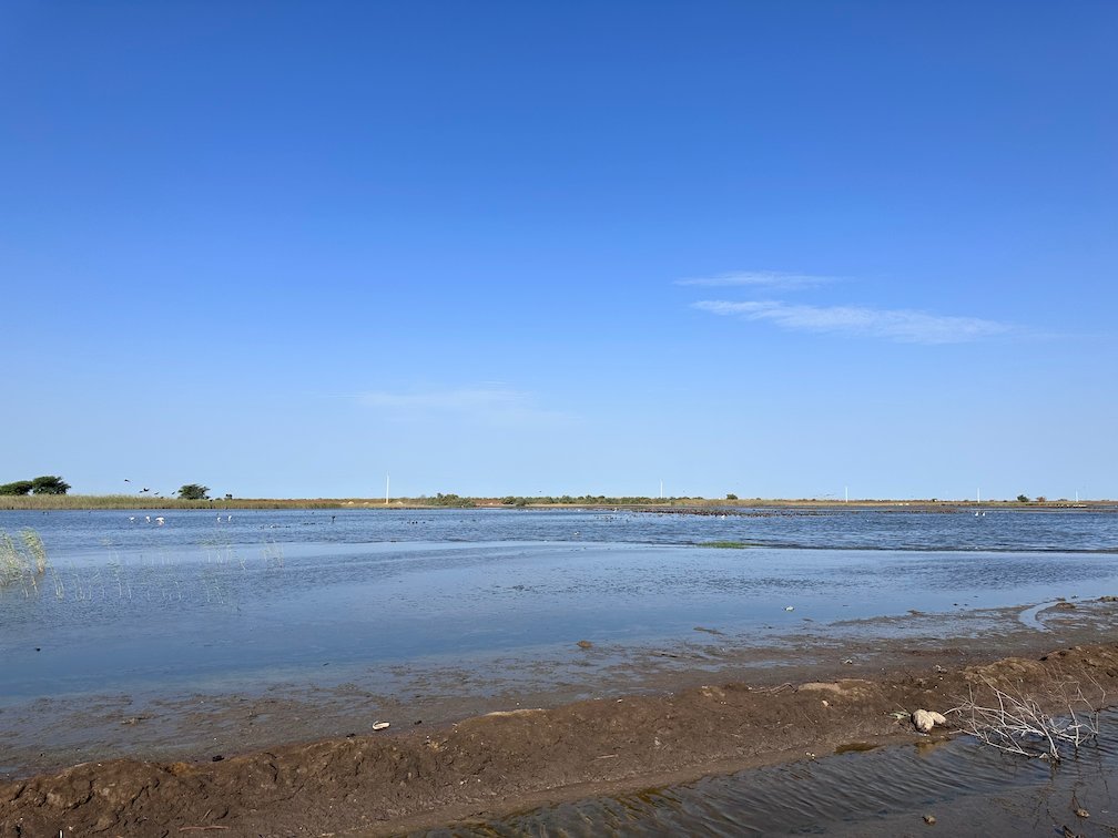 An open lake stretches under a blue sky in Djoudj.