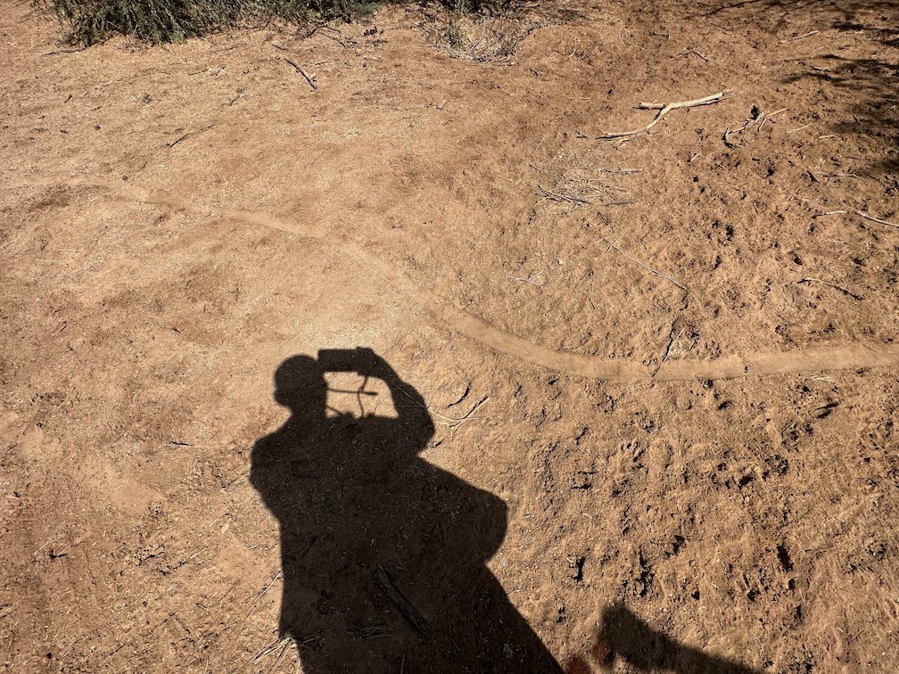 The shadow of a person taking a picture falls on dry ground in Djoudj.