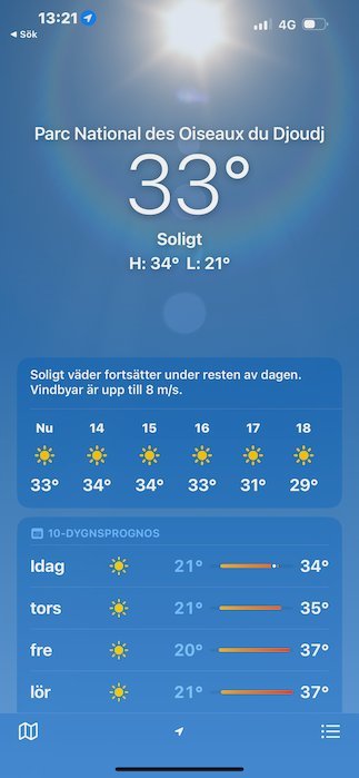 A phone weather app shows 33 degrees in Djoudj National Bird Park.