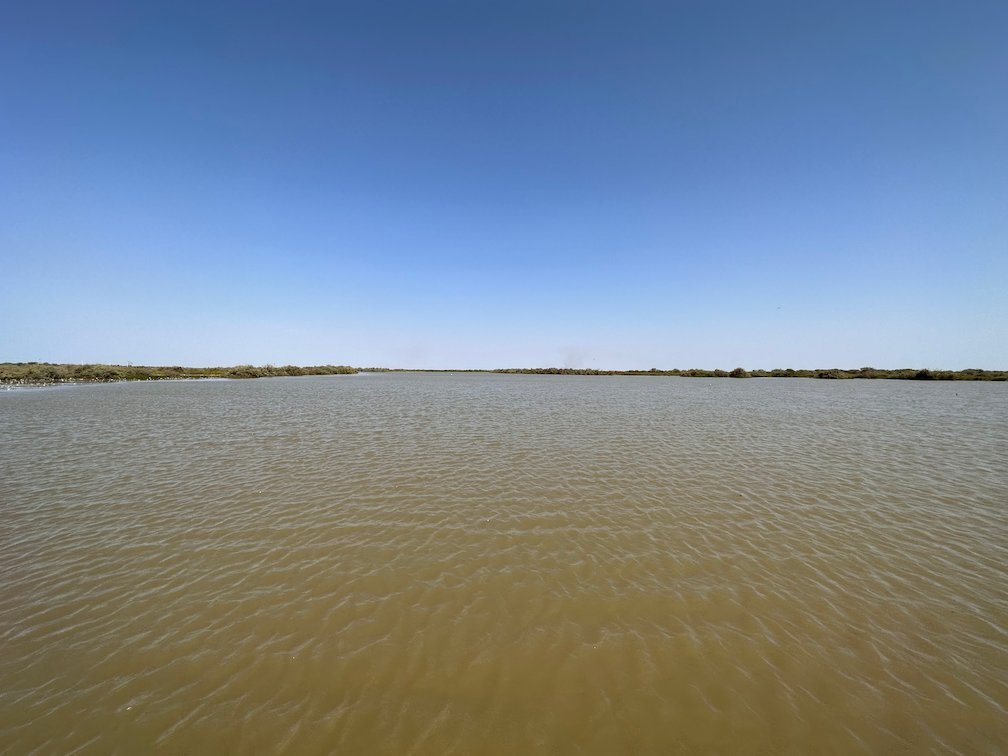 A wide brown lake stretches to a low green shore in Djoudj.