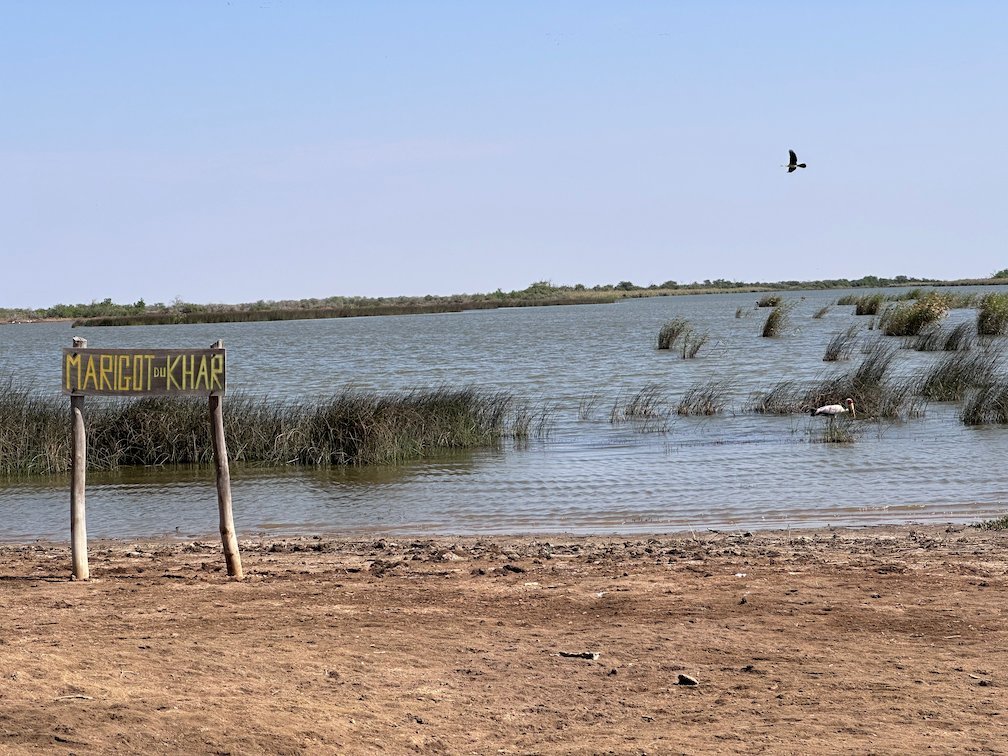 A wooden sign stands on the shore of a lake in Djoudj National Bird Park.