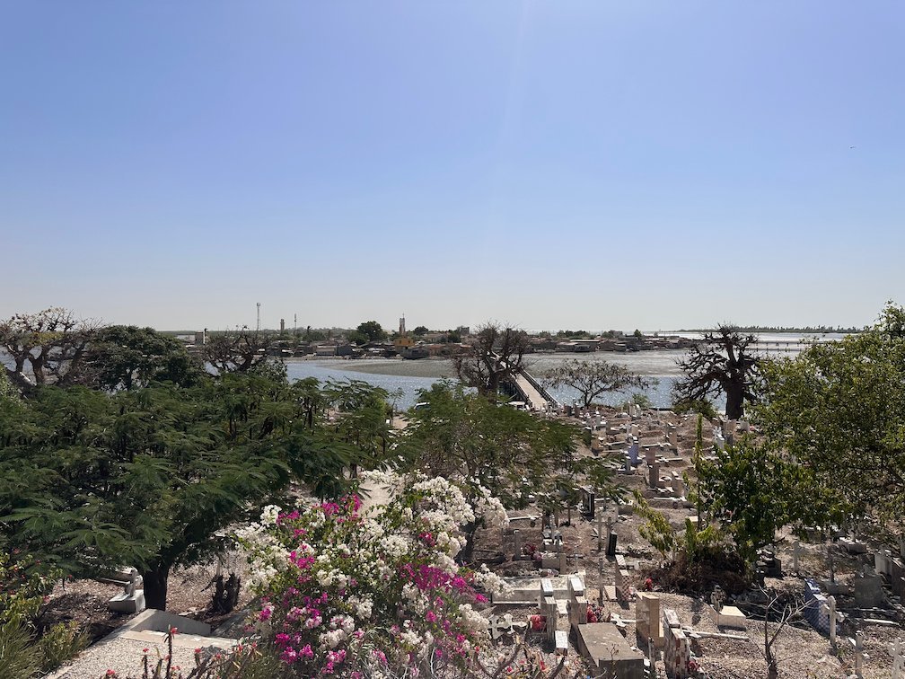 Bougainvillea flowers grow among graves in the cemetery of Fadiouth.