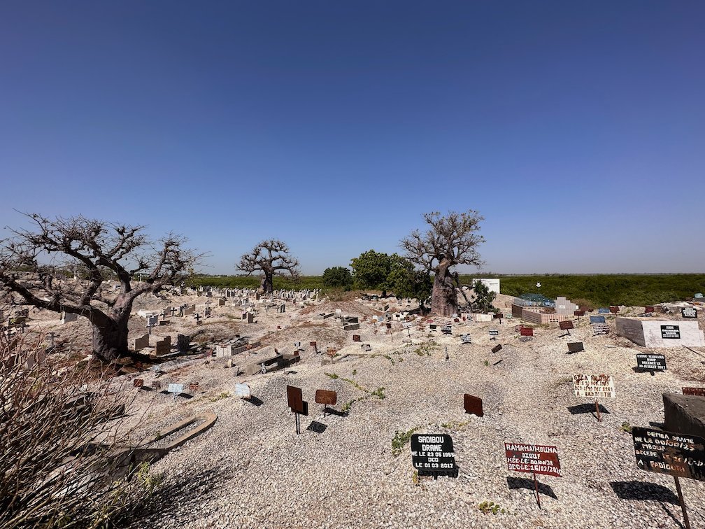 Graves with signs stand between baobabs in the cemetery of Fadiouth.