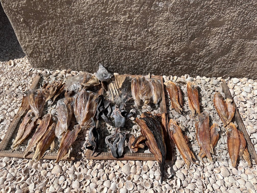 Rows of dried fish lie on a rack next to a wall in Fadiouth.