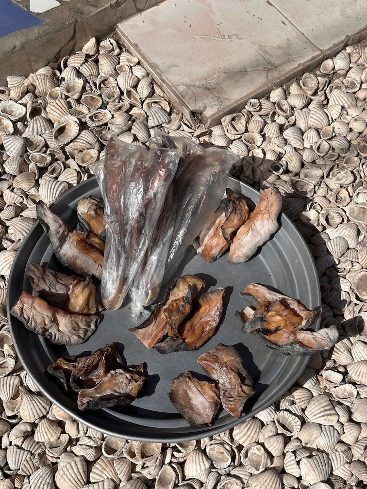 Dried fish lie on a black tray on the shell ground in Fadiouth.