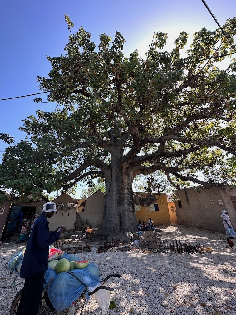 A large tree gives shade to a square on the shell island of Fadiouth.