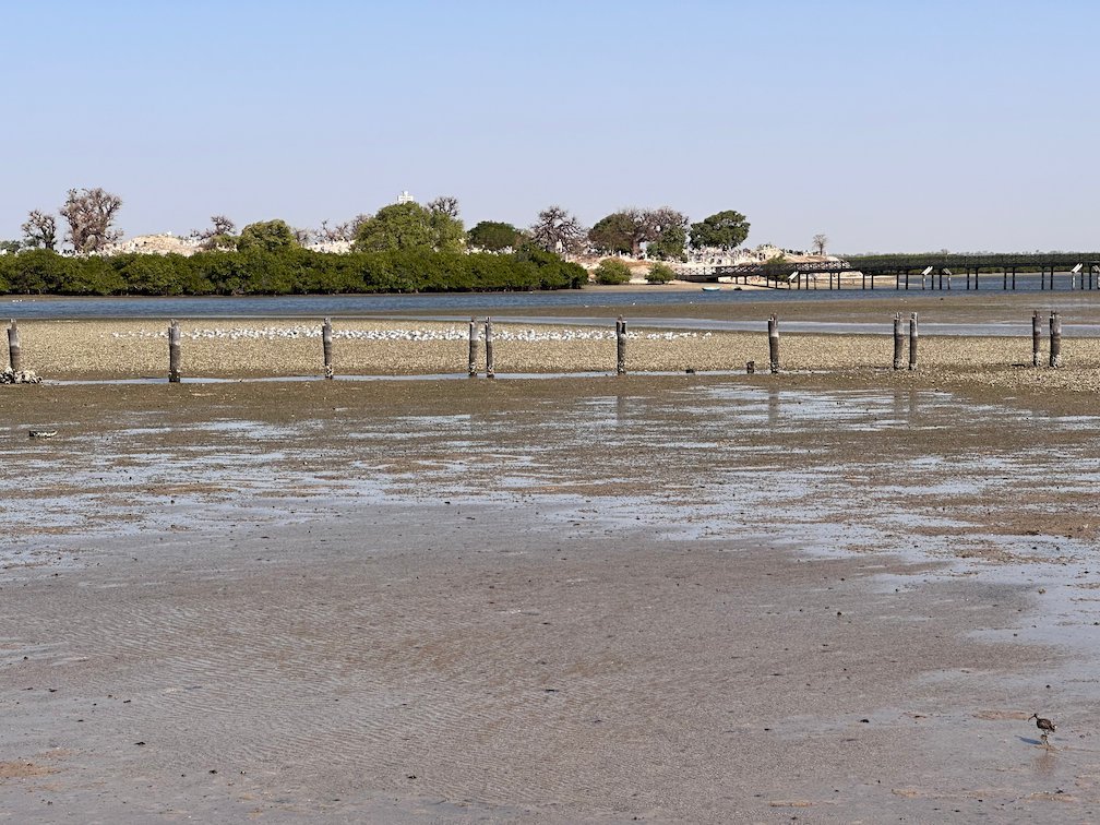 A mudflat lies in front of the long bridge to Fadiouth.