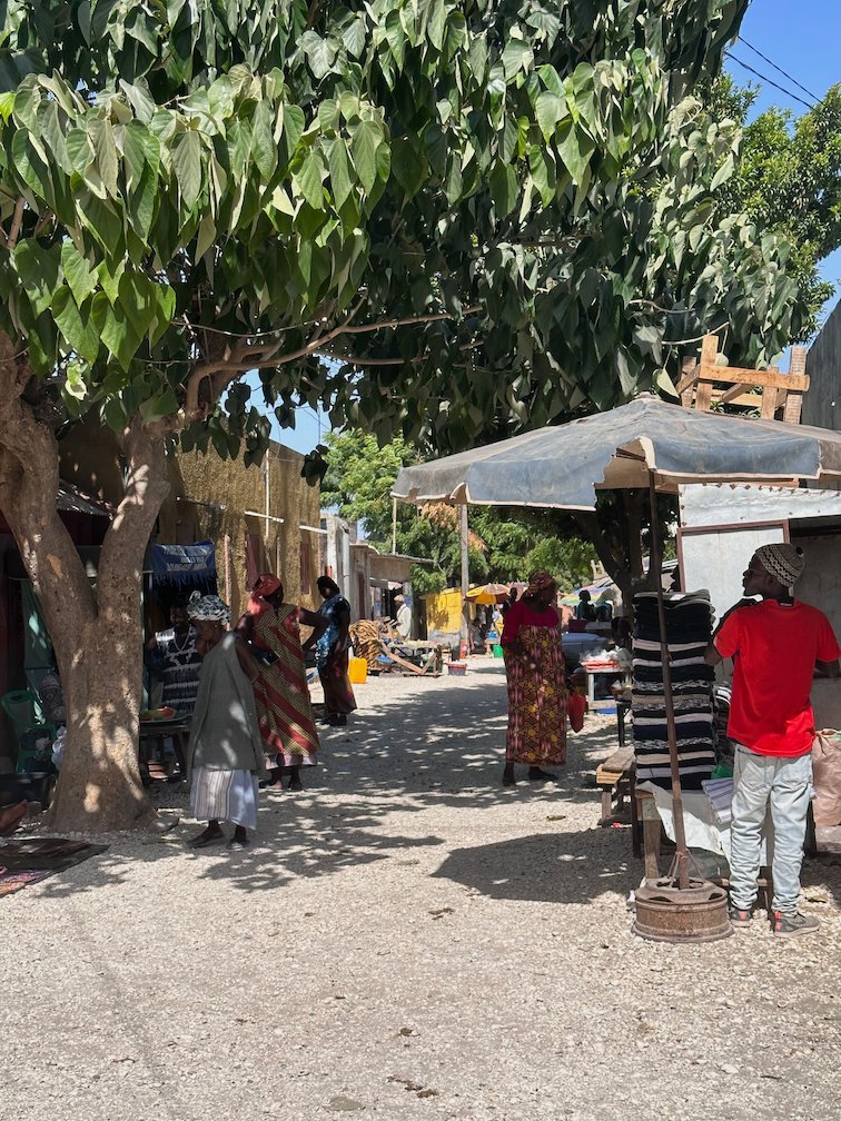 People shop at stalls in the shade of a tree in Fadiouth.