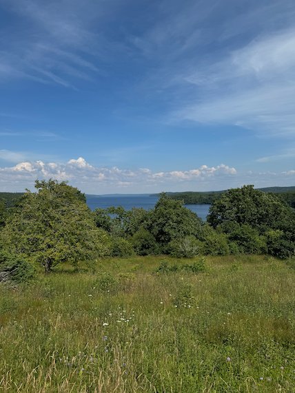 Green slope with bushes and trees on Fjärås Bräcka, Lake Lygnern behind