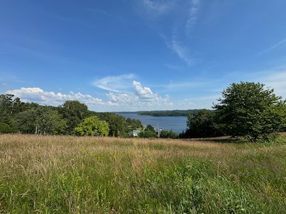 Summer meadow with tall grass on Fjärås Bräcka, with a view of Lake Lygnern