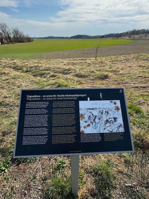 Information sign about the Thing plain and ritual horse racing, on the open field at Gamla Uppsala